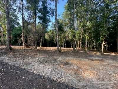 Residential Land For Sale in Molino, Florida