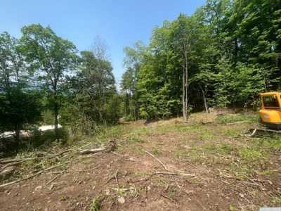 Residential Land For Sale in Cairo, New York