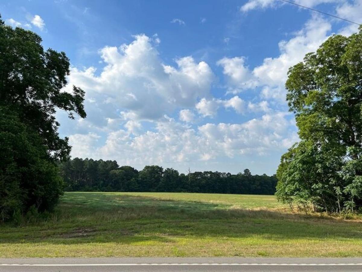 Picture of Residential Land For Sale in Claxton, Georgia, United States