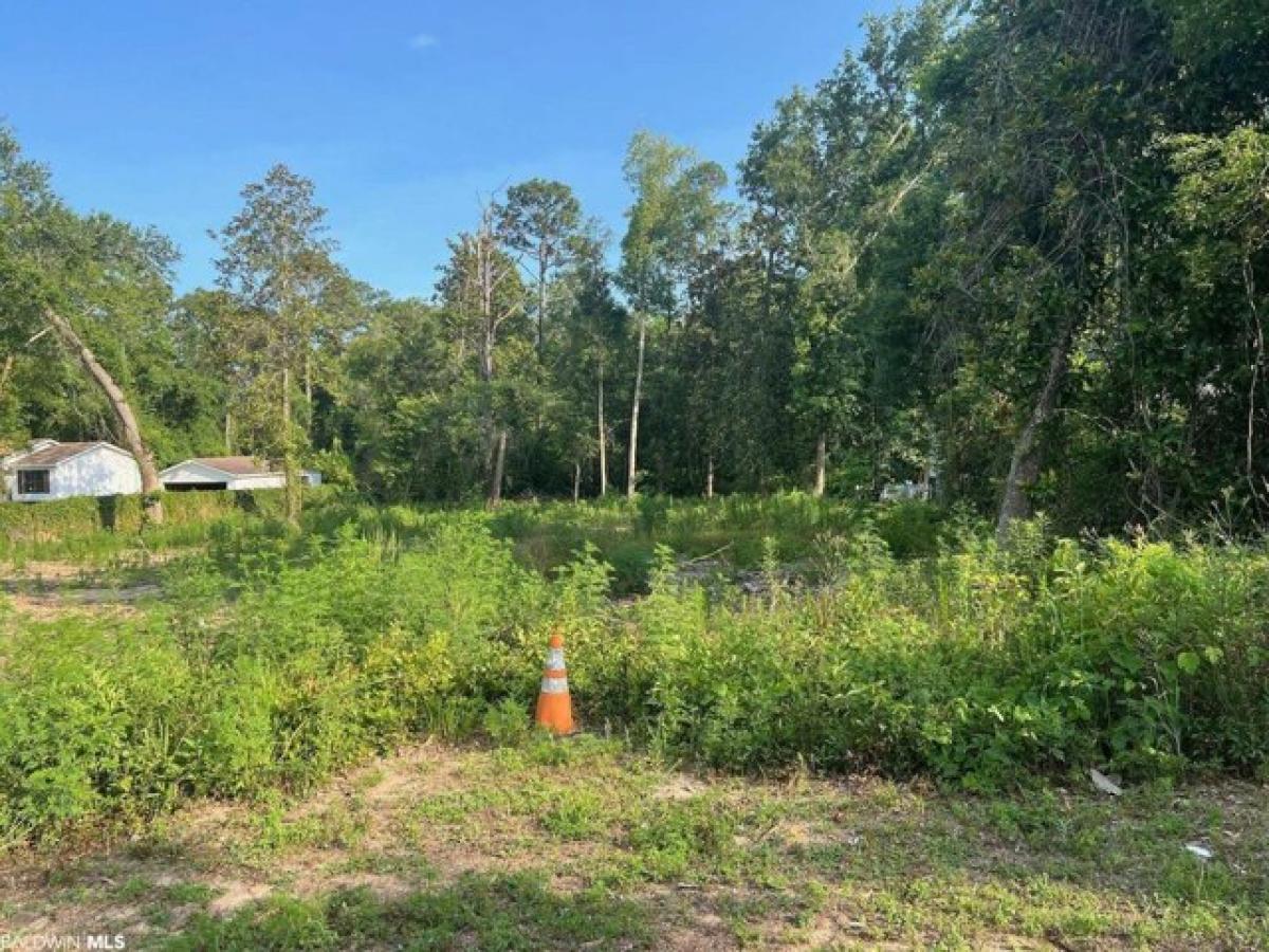 Picture of Residential Land For Sale in Magnolia Springs, Alabama, United States