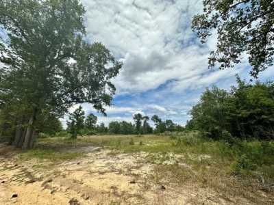 Residential Land For Sale in Webb, Alabama