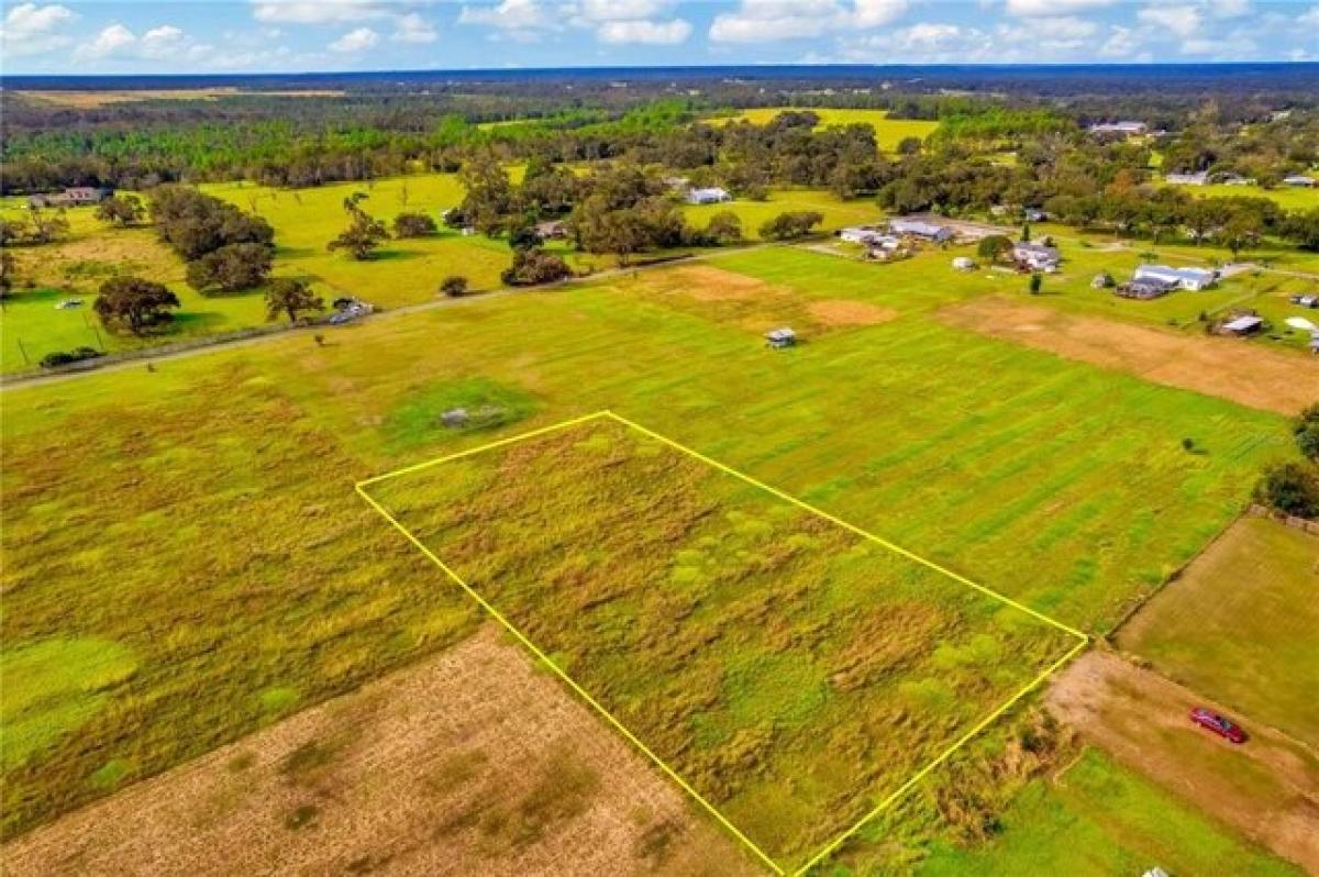 Picture of Residential Land For Sale in Lithia, Florida, United States