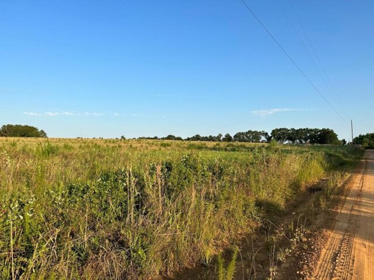 Picture of Residential Land For Sale in Slocomb, Alabama, United States