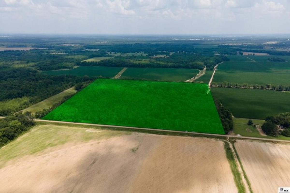 Picture of Residential Land For Sale in Delhi, Louisiana, United States