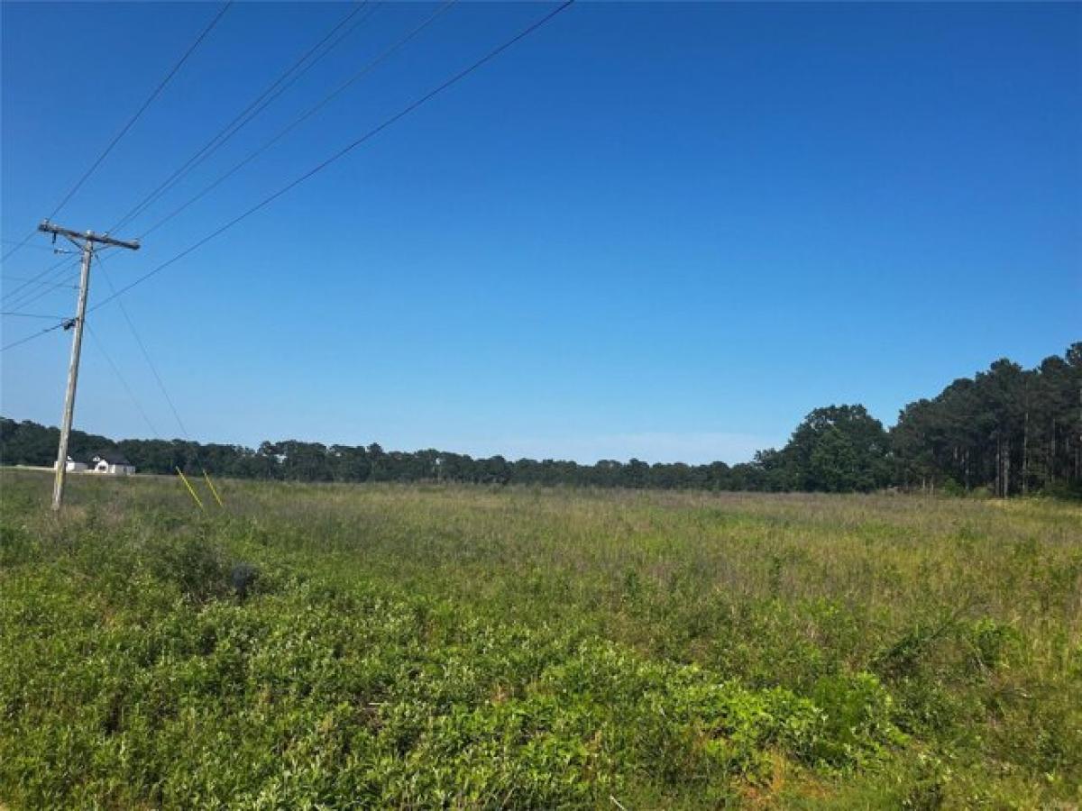 Picture of Residential Land For Sale in Coffee Springs, Alabama, United States