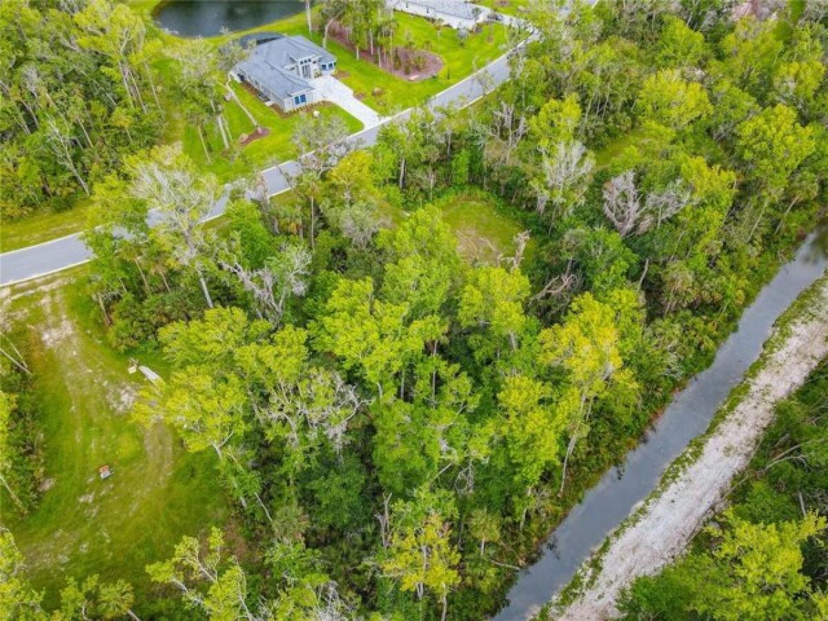 Picture of Residential Land For Sale in New Smyrna Beach, Florida, United States