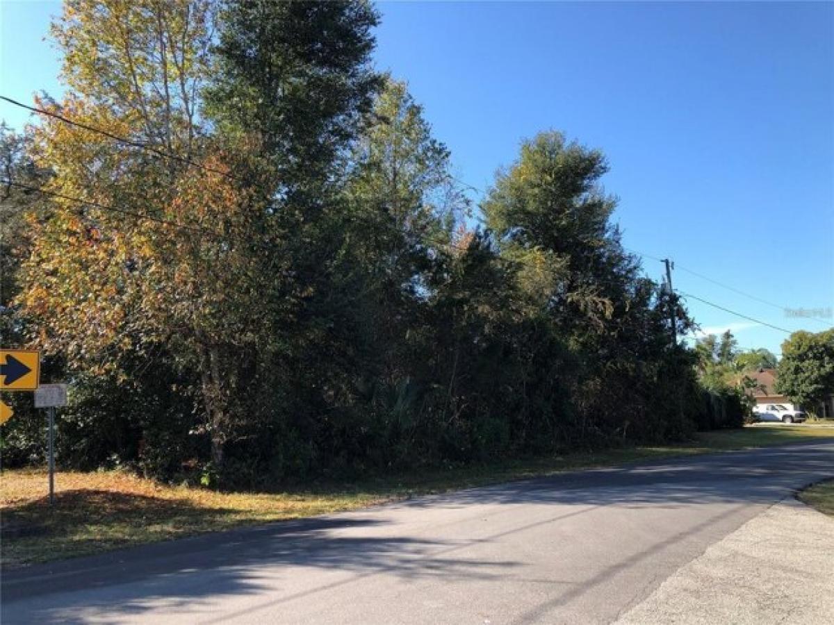 Picture of Residential Land For Sale in Deltona, Florida, United States