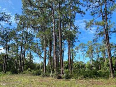 Residential Land For Sale in 