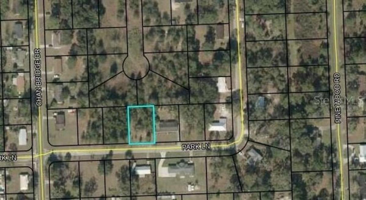 Picture of Residential Land For Sale in Jasper, Florida, United States