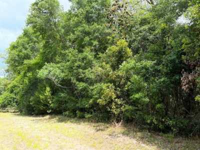 Residential Land For Sale in Chiefland, Florida