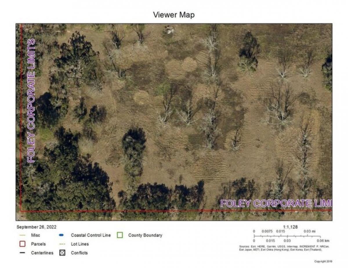 Picture of Residential Land For Sale in Foley, Alabama, United States