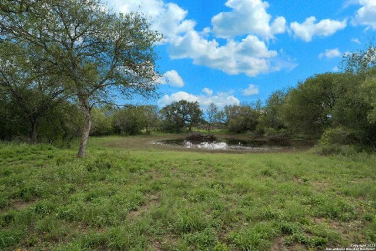 Picture of Residential Land For Sale in Devine, Texas, United States