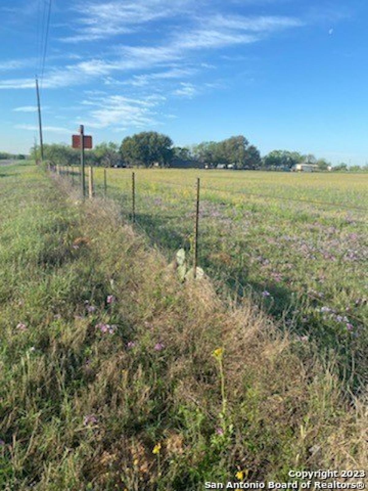 Picture of Residential Land For Sale in Saint Hedwig, Texas, United States