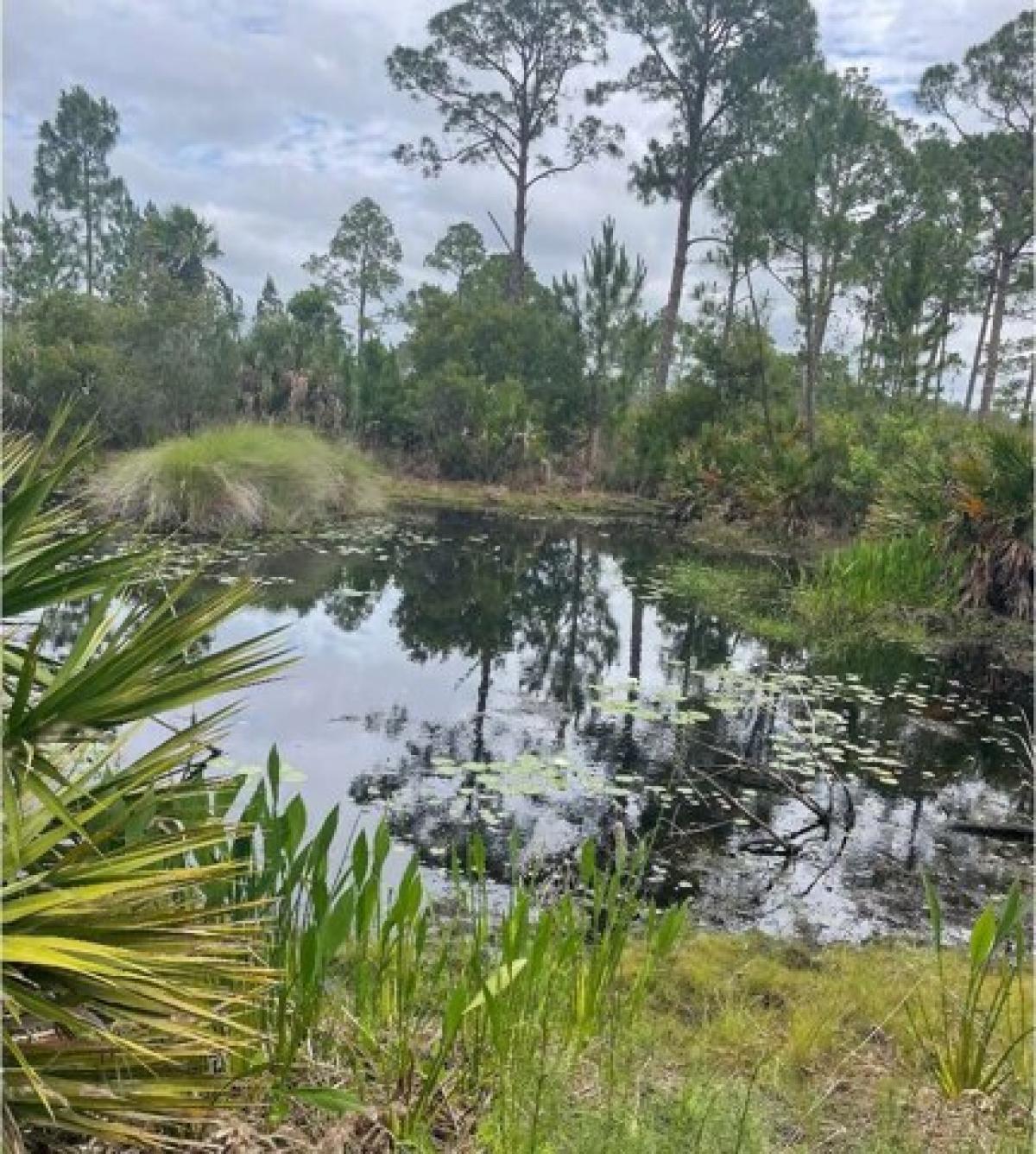 Picture of Residential Land For Sale in Cedar Key, Florida, United States