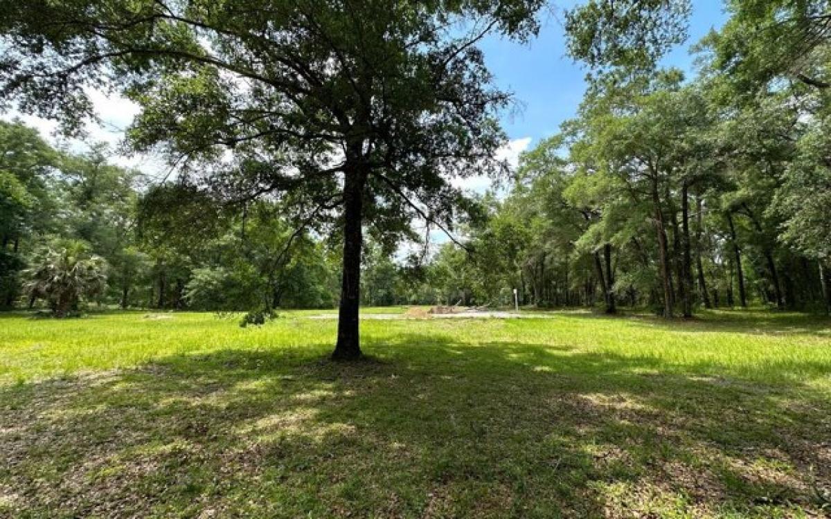 Picture of Residential Land For Sale in Mayo, Florida, United States