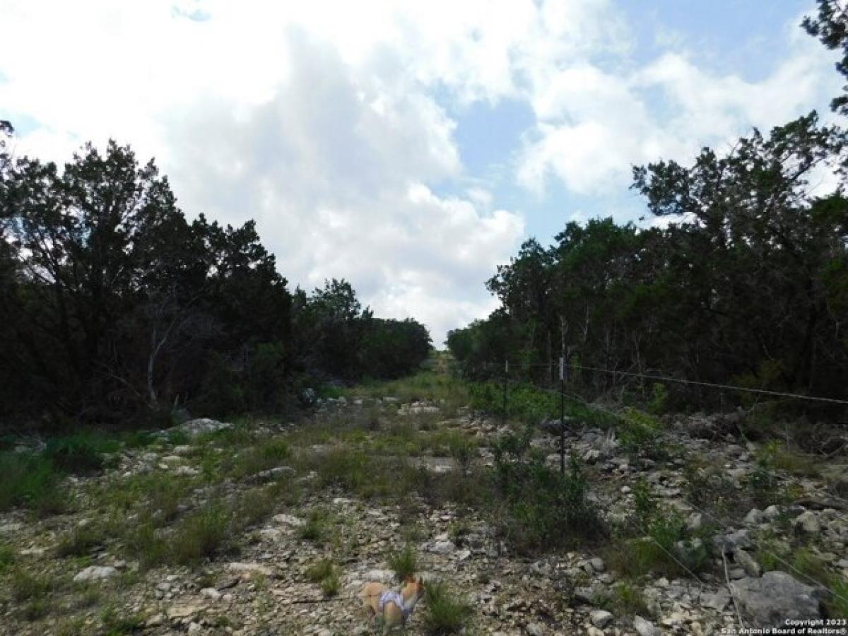 Picture of Residential Land For Sale in Hondo, Texas, United States