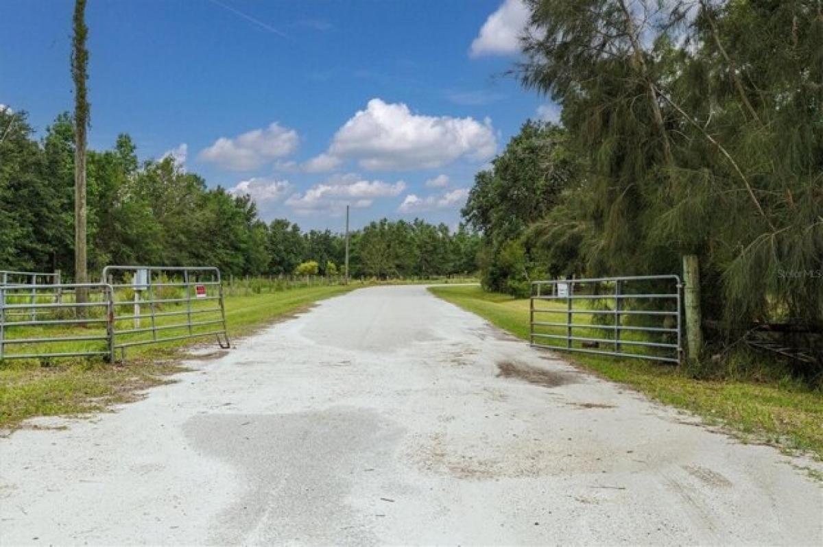 Picture of Residential Land For Sale in Myakka City, Florida, United States