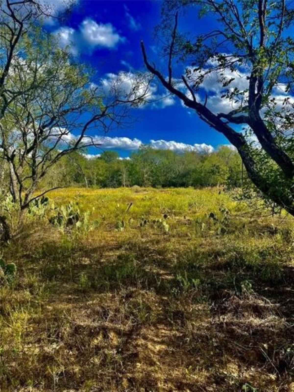 Picture of Residential Land For Sale in Seguin, Texas, United States