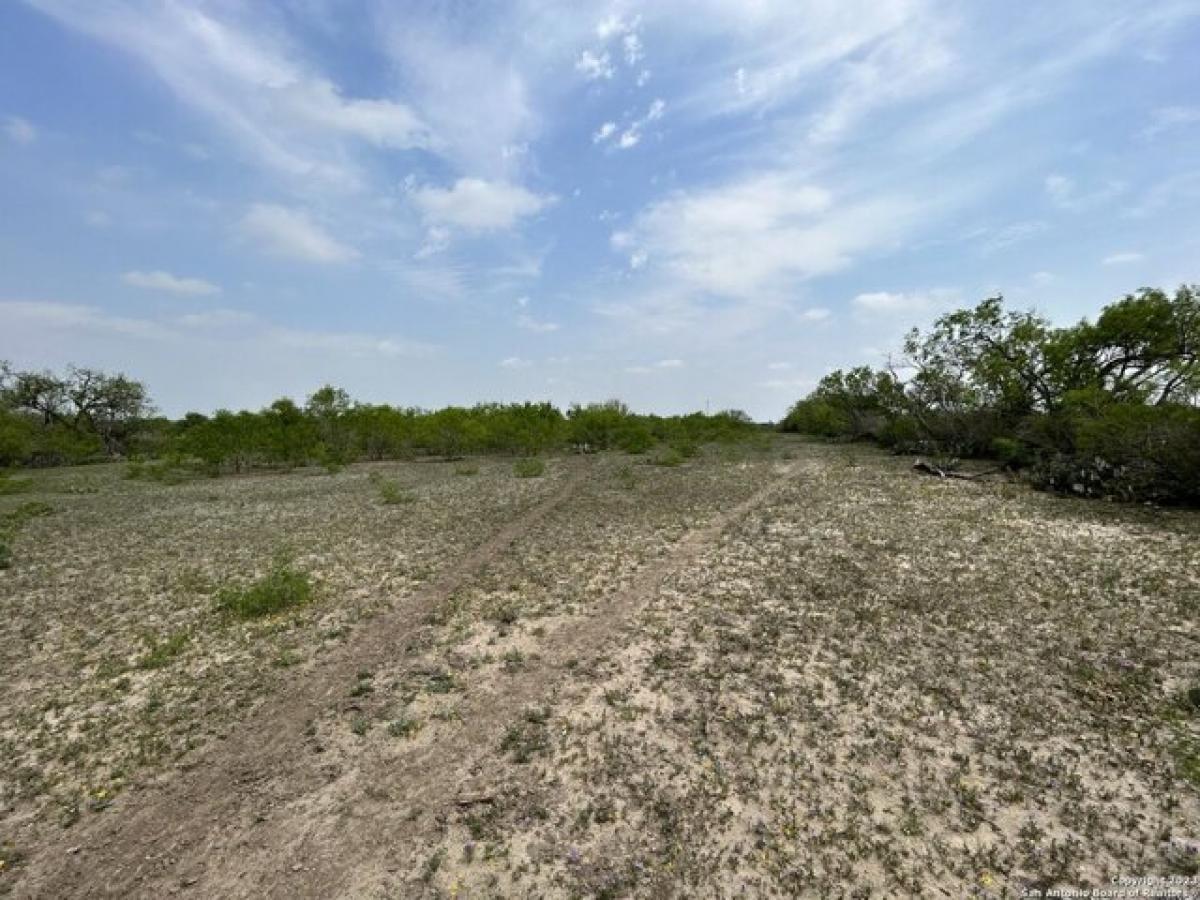 Picture of Residential Land For Sale in Elmendorf, Texas, United States