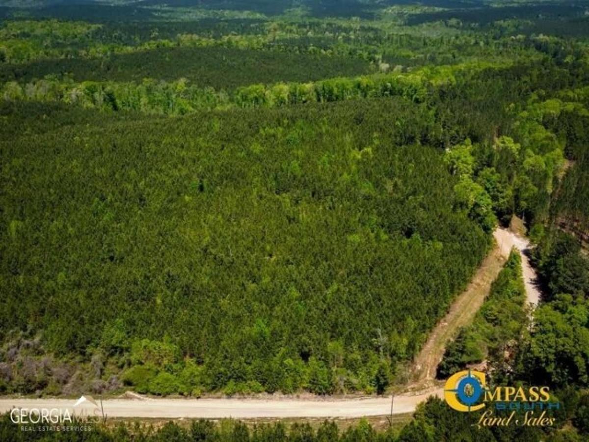 Picture of Residential Land For Sale in Franklin, Georgia, United States