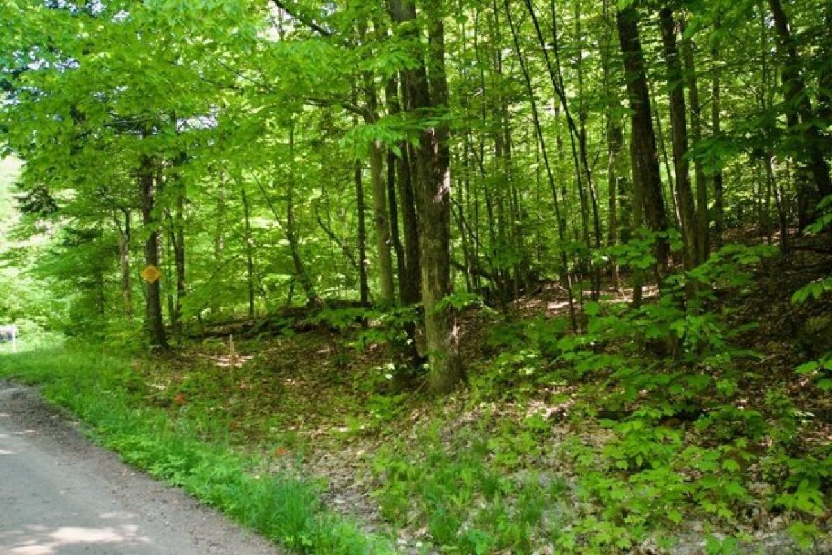 Picture of Residential Land For Sale in Roxbury, Vermont, United States