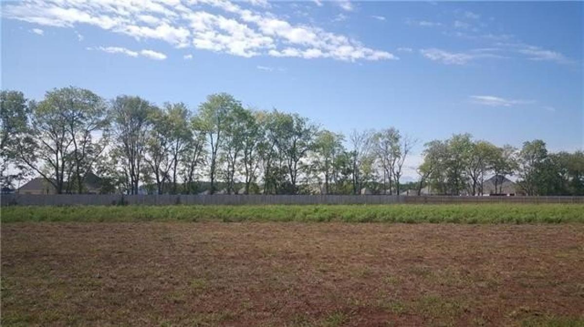 Picture of Residential Land For Sale in Alexandria, Louisiana, United States