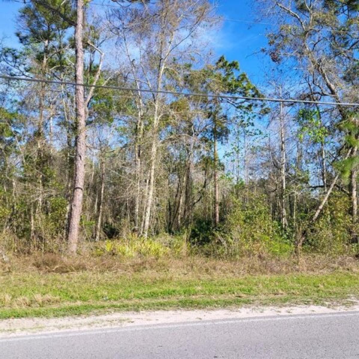 Picture of Residential Land For Sale in New Port Richey, Florida, United States