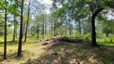 Home For Sale in Kountze, Texas