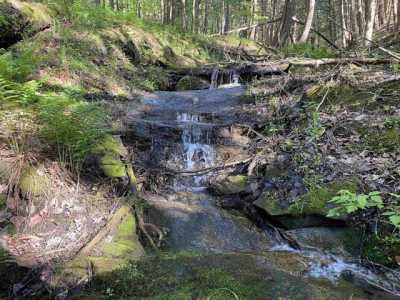 Residential Land For Sale in Tunbridge, Vermont