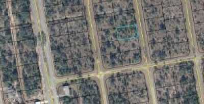 Residential Land For Sale in Chipley, Florida