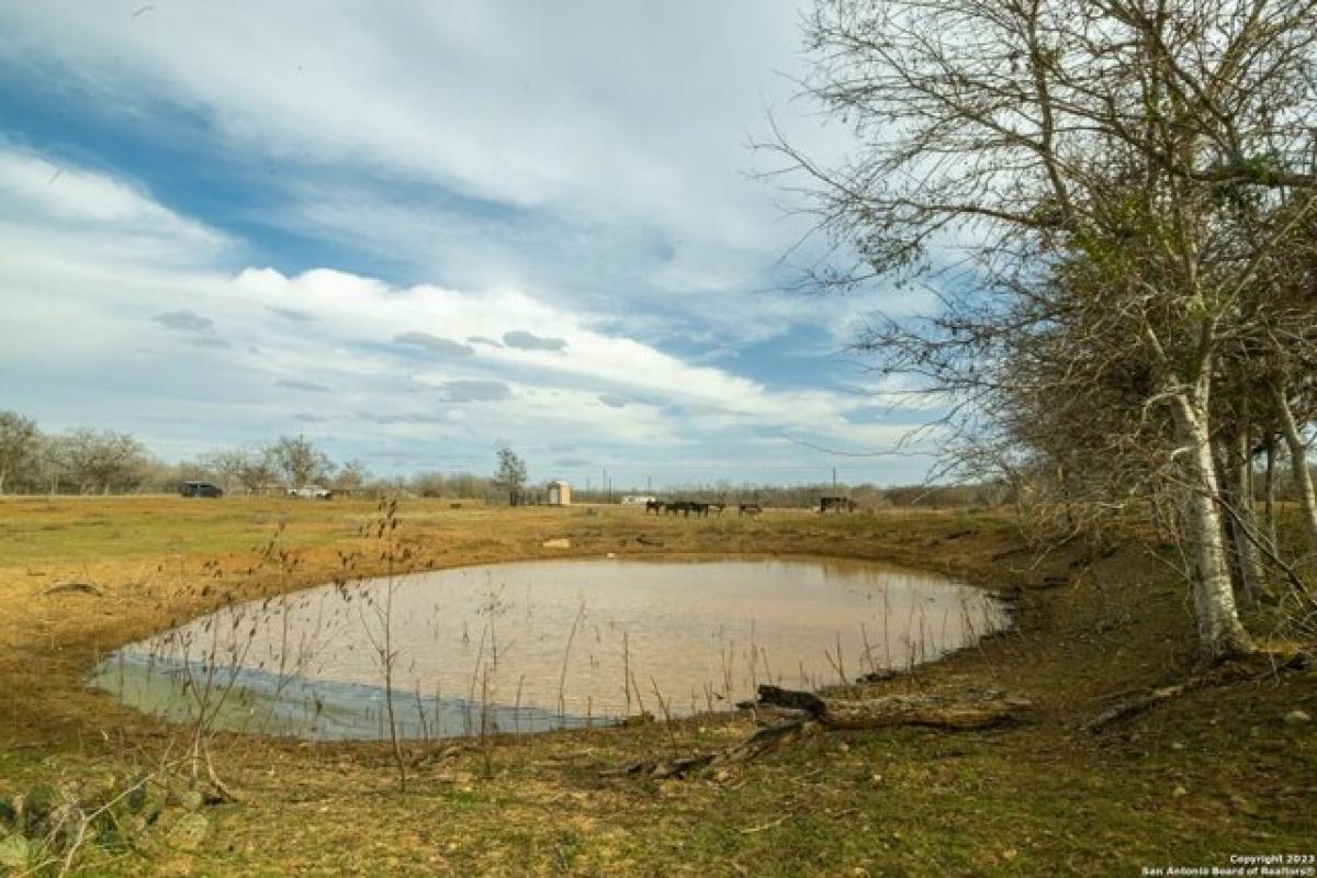 Picture of Residential Land For Sale in Seguin, Texas, United States