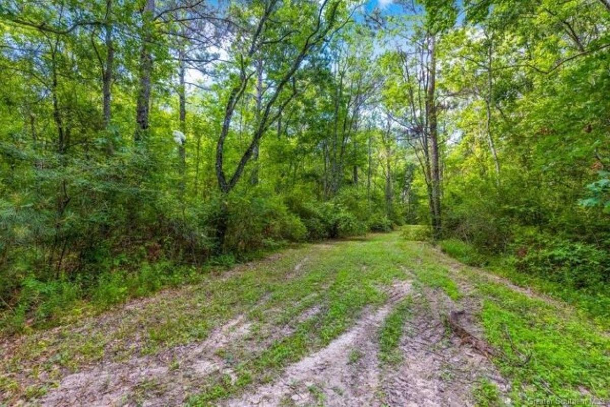 Picture of Residential Land For Sale in Jennings, Louisiana, United States