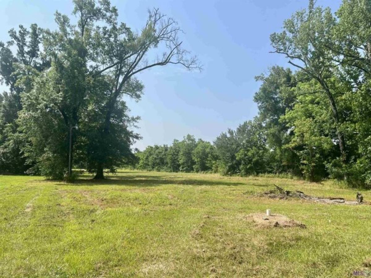 Picture of Residential Land For Sale in Marksville, Louisiana, United States