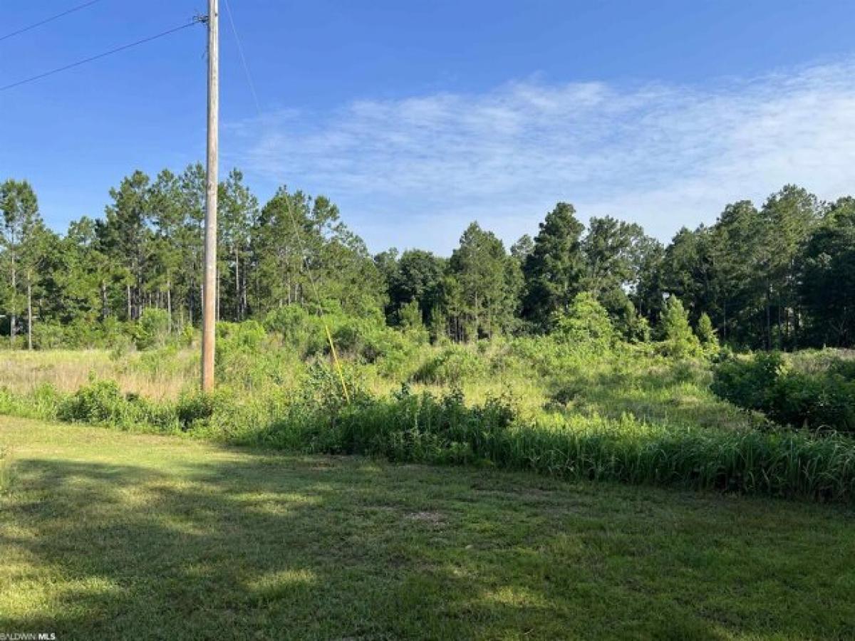 Picture of Residential Land For Sale in Gulf Shores, Alabama, United States