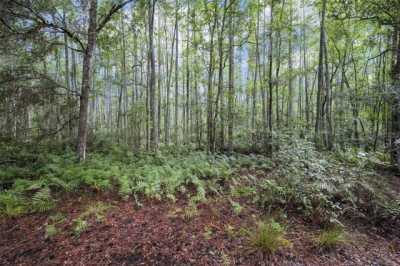 Residential Land For Sale in Wesley Chapel, Florida