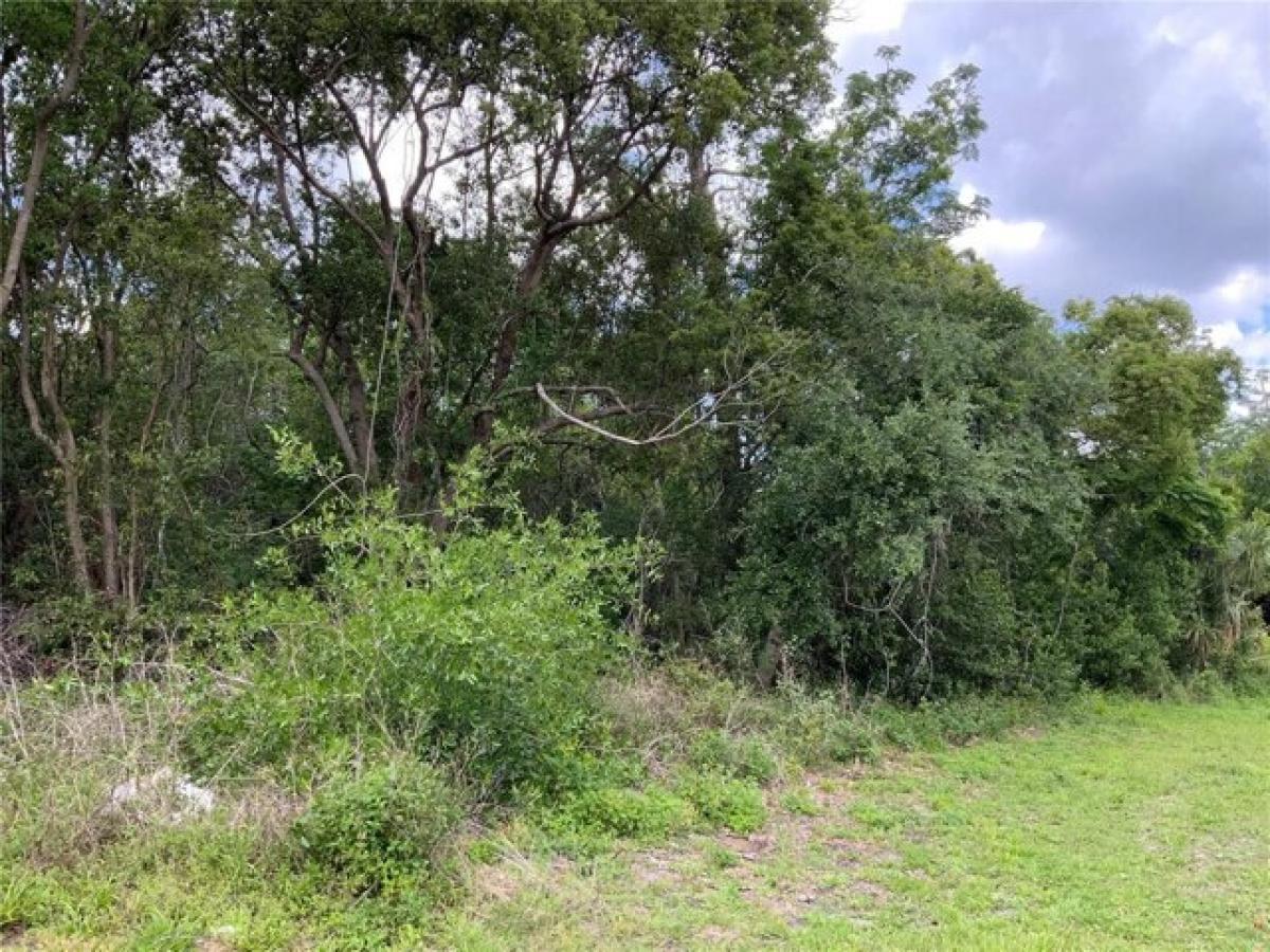 Picture of Residential Land For Sale in Deltona, Florida, United States