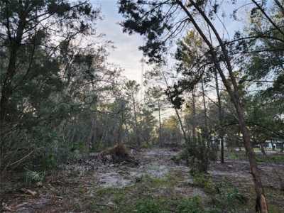 Residential Land For Sale in New Smyrna Beach, Florida