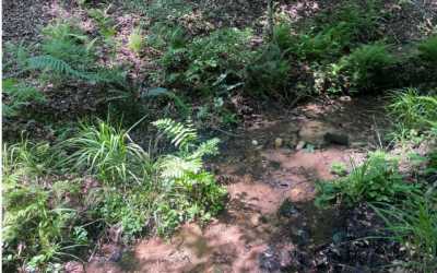 Residential Land For Sale in Talking Rock, Georgia