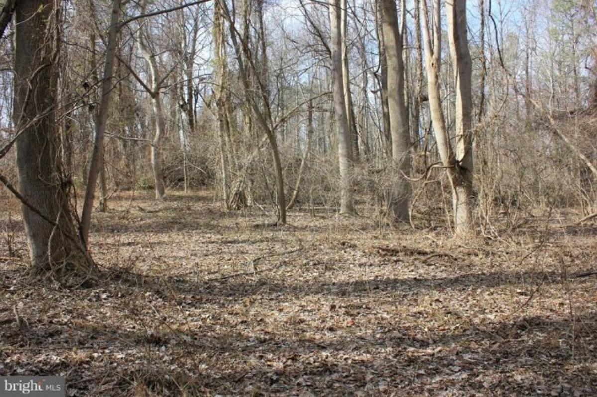 Picture of Residential Land For Sale in Prince Frederick, Maryland, United States