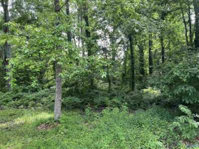 Residential Land For Sale in Glencoe, Alabama