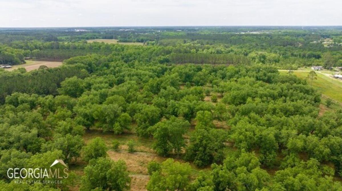 Picture of Residential Land For Sale in Fitzgerald, Georgia, United States