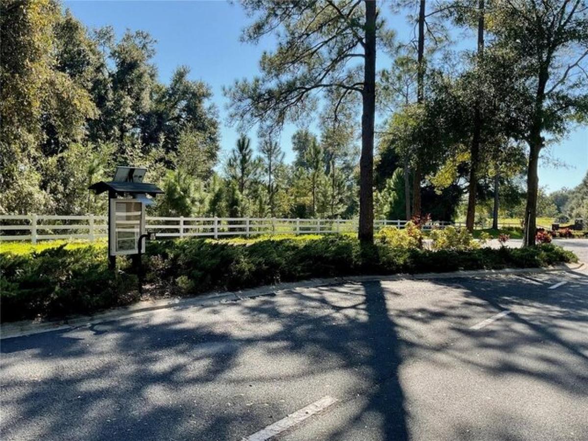 Picture of Residential Land For Sale in Leesburg, Florida, United States