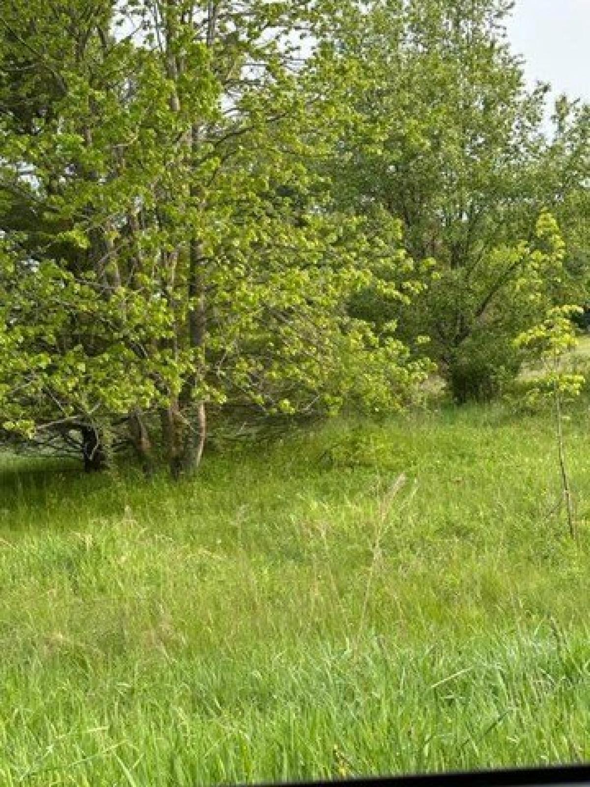 Picture of Residential Land For Sale in Grant, Michigan, United States