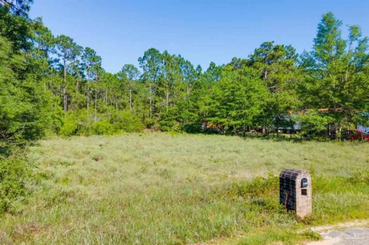 Picture of Residential Land For Sale in Navarre, Florida, United States