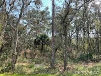 Residential Land For Sale in Crystal River, Florida