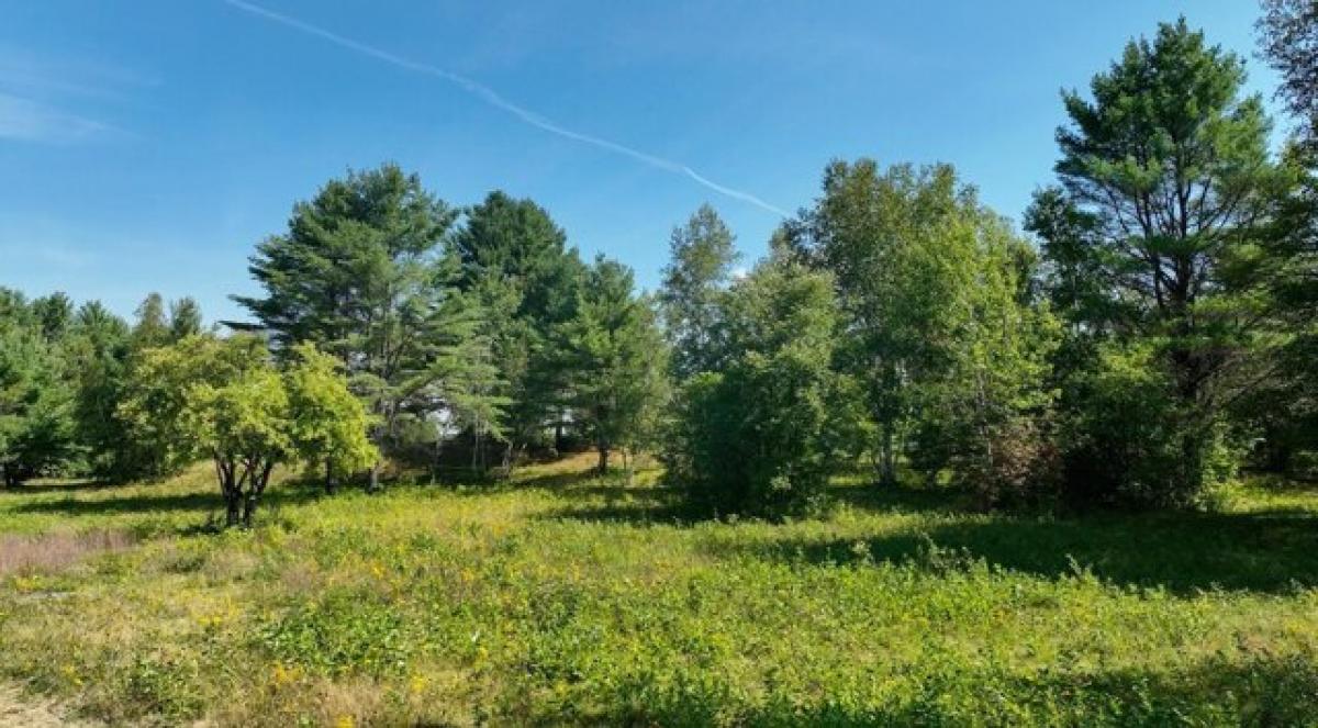 Picture of Residential Land For Sale in New London, New Hampshire, United States