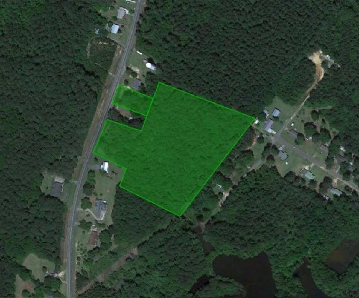 Picture of Residential Land For Sale in Elba, Alabama, United States