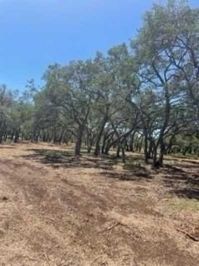 Residential Land For Sale in Blanco, Texas