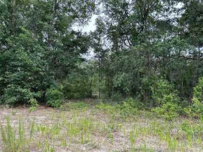 Residential Land For Sale in Hawthorne, Florida