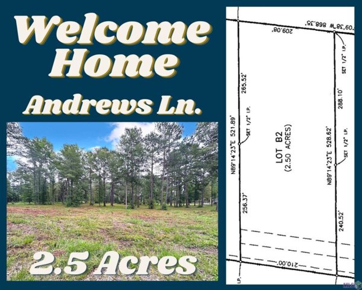 Picture of Residential Land For Sale in Clinton, Louisiana, United States